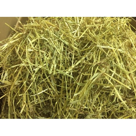 Fibre Select Blend-Italian Ryegrass / Timothy