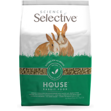 House rabbit-Science...